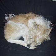 A better food makes a big difference!